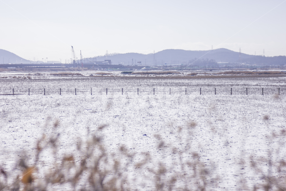 겨울,눈,풍경사진,풍경,소래,소래습지,겨울바다,바다,적막,우울,감성,겨울,계절,winter,season,자연,풍경,nature,landscape,outdoors,옥외