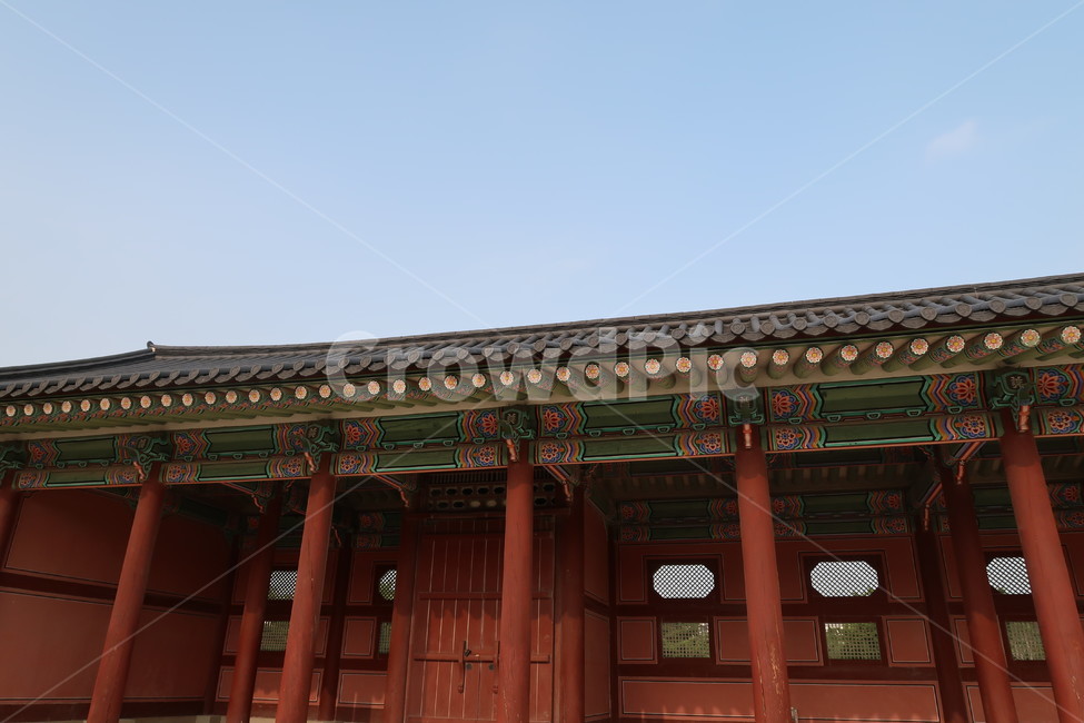 경복궁,한국,전통,동양풍,건물,자연,컬러,korea,traditional,oriental,building,nature,wood,plant,stone,color,조선시대,궁궐,한국전통,한국문화,korean traditional,korean culture,건축물,건물외관,exterior,building,structure,architecture,construction