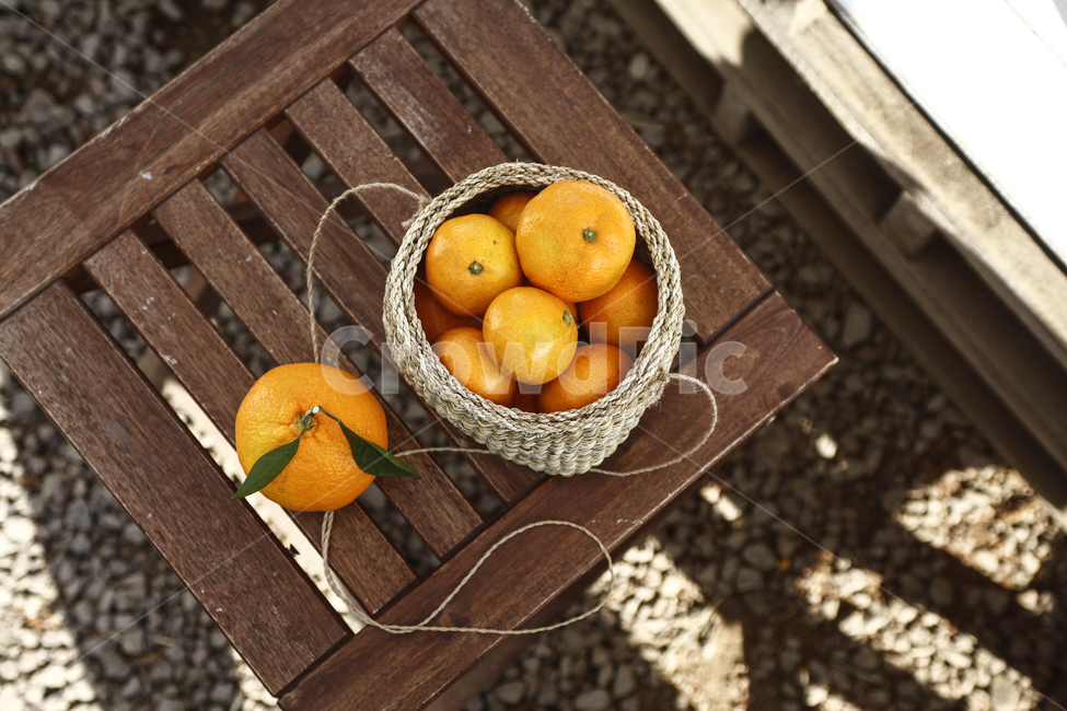 귤, 감귤, 제주도, 제주, 과일, 사진,이미지,일러스트,캘리그라피 온앤오프작가