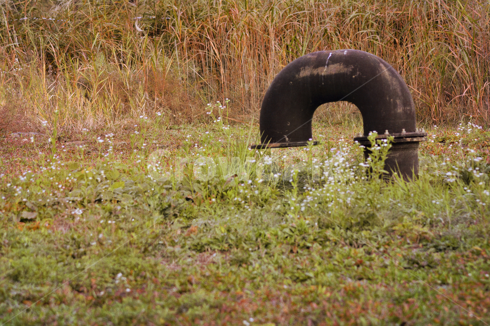 빈티지,환기구,통풍구,공조시설,구조물,오브젝트,object,vintage,outdoor,야외,옥외,아웃도어,풀밭,잡초,plant,들꽃,야생화,glass,금속,쇠,오래된,낡은,부식,녹슨,녹,rust,old,사물,물건,오브젝트,thing,object,matter