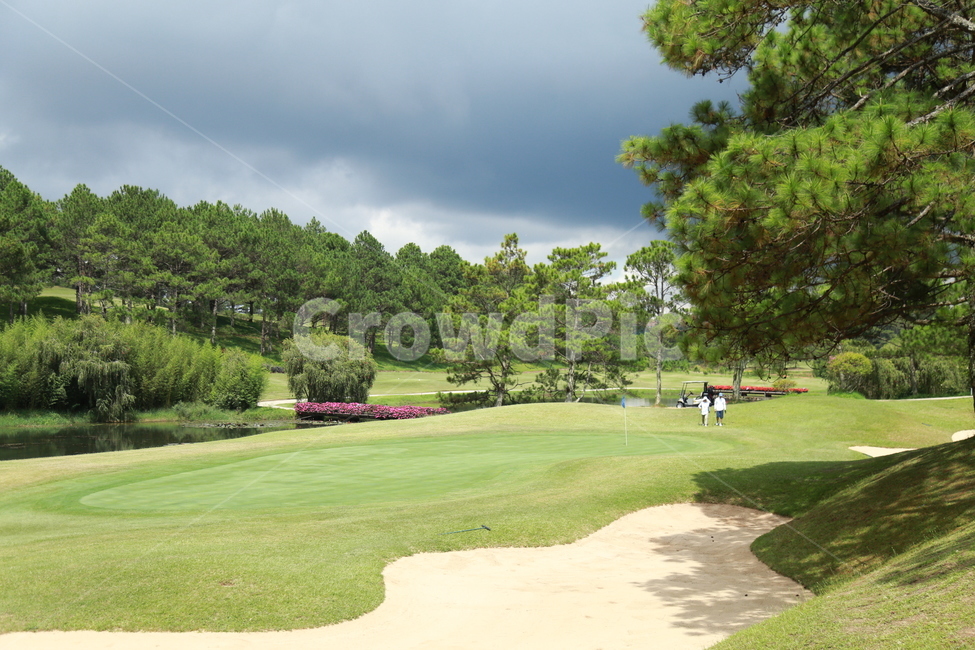 field,들,outdoors,골프코스,골프,golf,golfcourse,자연,nature