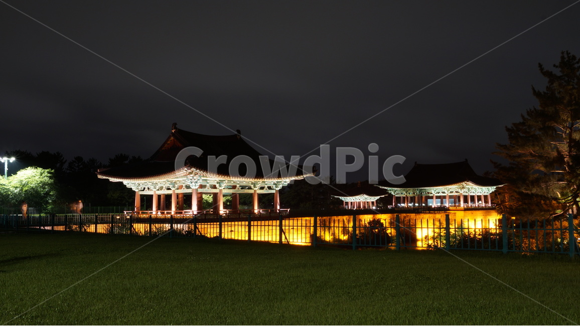 야경,유적지,문화유적지,고궁,풍경,야경,밤,풍경,nightscape,night,landscape,한국전통,한국문화,korean traditional,korean culture,랜드마크,landmark,tourist attraction,한국랜드마크,한국관광지,한국명소,korea landmark,korea tourist attraction,plant,식물,grass,잔디