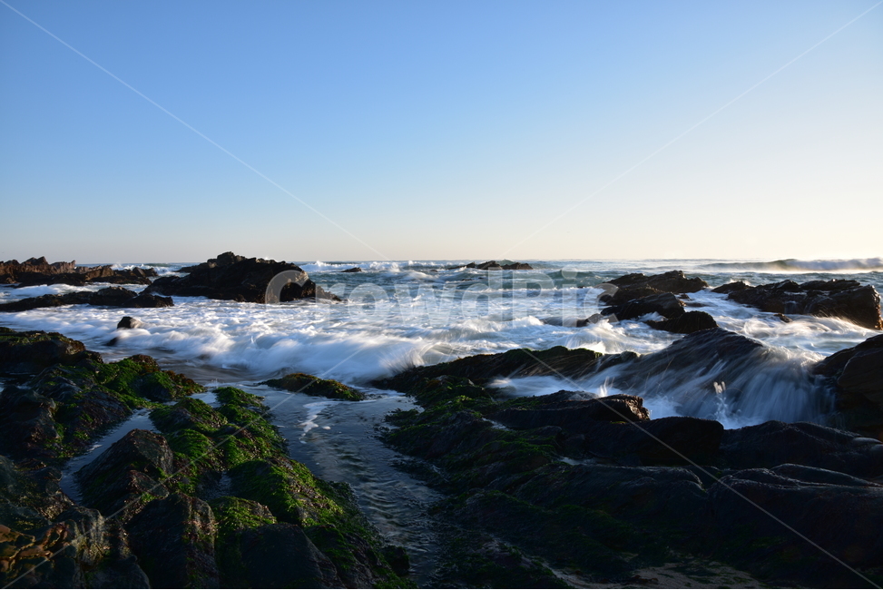 파도,물결,windwave,첨해파,해변,밀물,썰물,자연,풍경,nature,landscape,promontory,곶,plant,식물,algae,조류