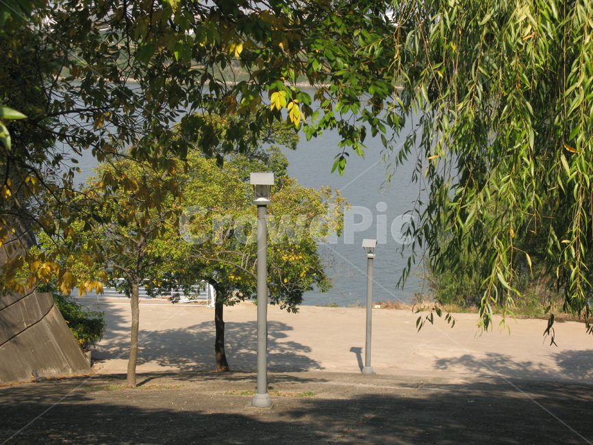 가을,공원,선유도,나무,tree,식물