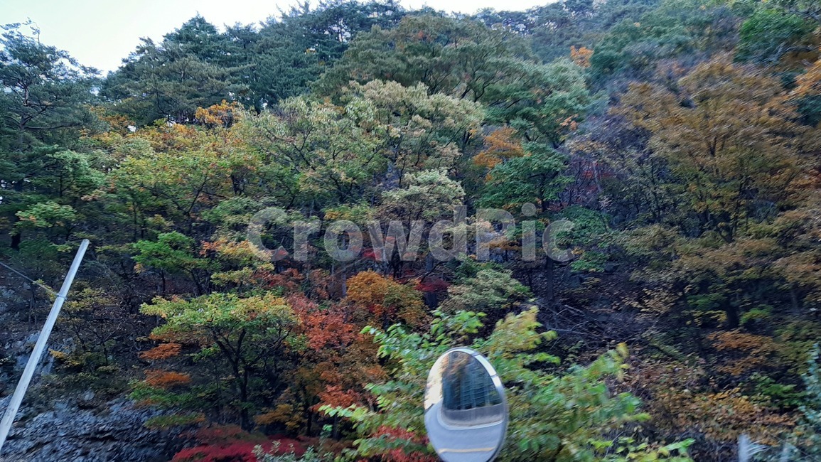 가을풍경,단풍,산행,나무,하늘,숲,풍경,자연,tree