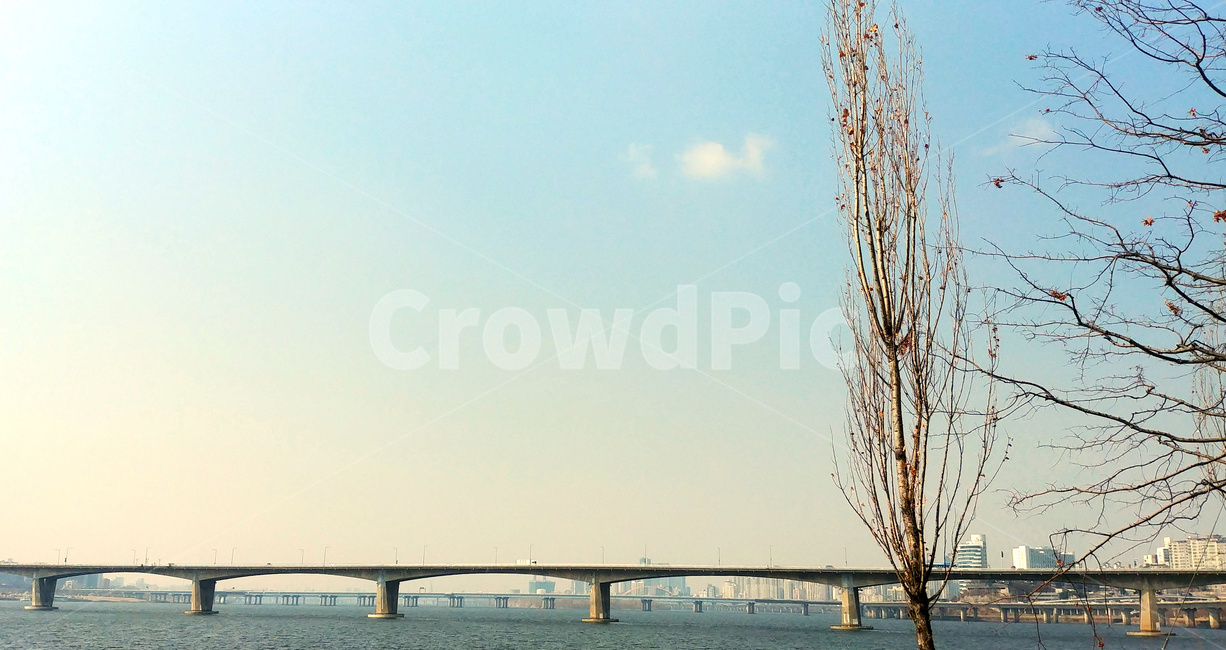 한강,다리,풍경,나무,하늘,도시,풍경,city,landscape