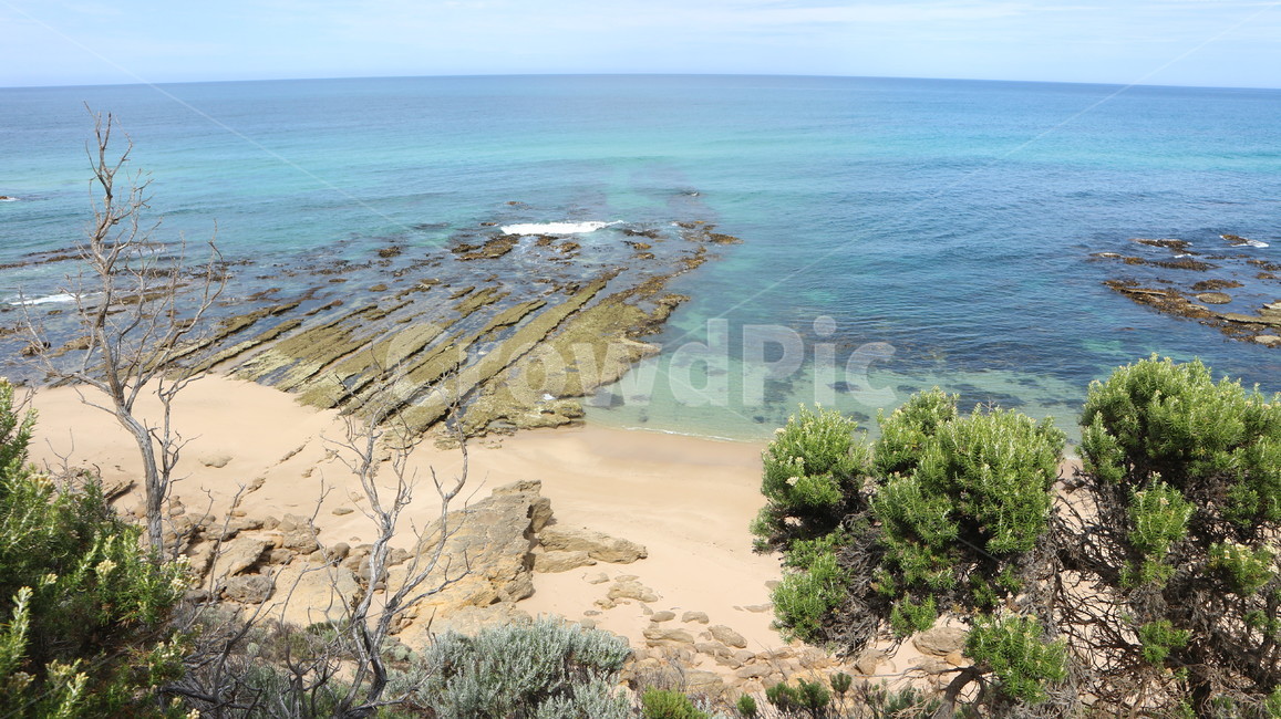바다,해안가,바위,나무,자연,대자연,태평양,하이킹코스,호주,greatoceanroad,greatoceanwalk,그레이트오션로드,그레이트오션워크,landscape,nature,ocean,sea,beach,horizon,자연,풍경,nature,landscape,해외,외국,세계,foreign,oversea,world,세계자연풍경,해외자연풍경,외국자연풍경,world nature landscape,outdoors,옥외,land,땅,shoreline,해안선,water,물,대양,promontory,곶,coast,연안