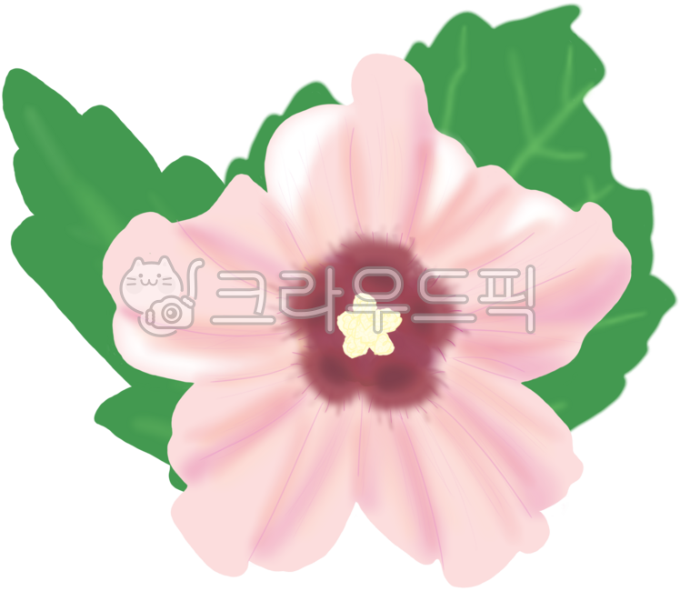 무궁화,대한민국,국화,한국,국가상징,나라,우리나라,무궁화이미지,무궁화그림,무궁화일러스트