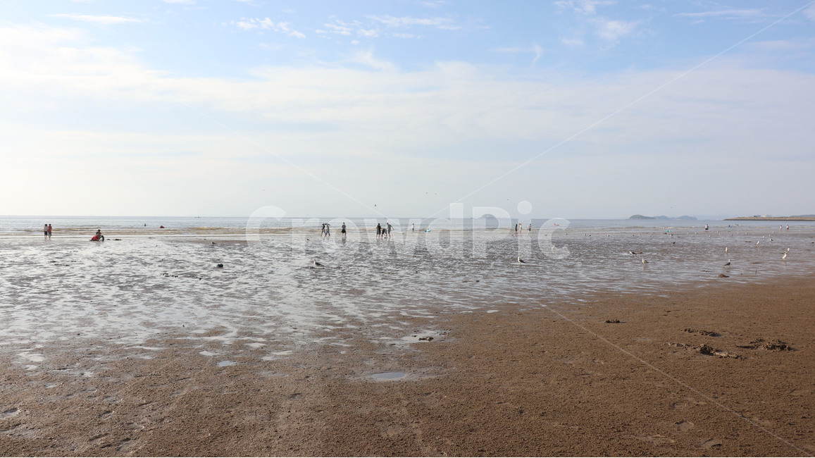 바다,해변,해수욕장,여름,서해,자연,풍경,nature,landscape