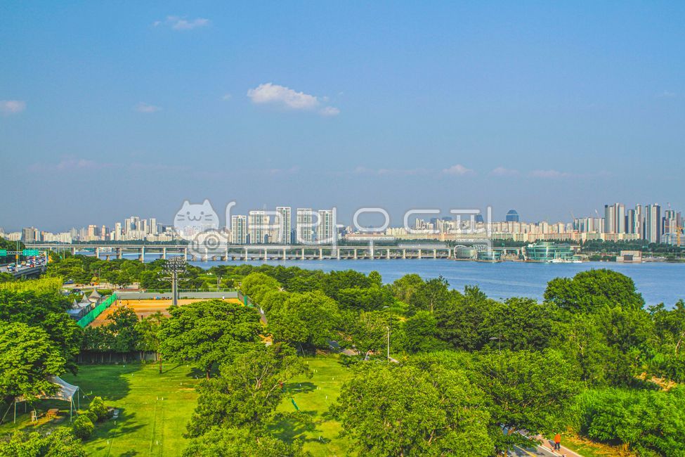 Hangang Park,forest,Banpo Hangang Park,city,highrise buildings,clouds,trees,building,Han River,cloud,Seoul,plants,park,Han River Bridge,nature,tree,water,Some Sevit,Banpo Bridge,highrise,urban,outdoors,plant,bridge,Jamsu Bridge