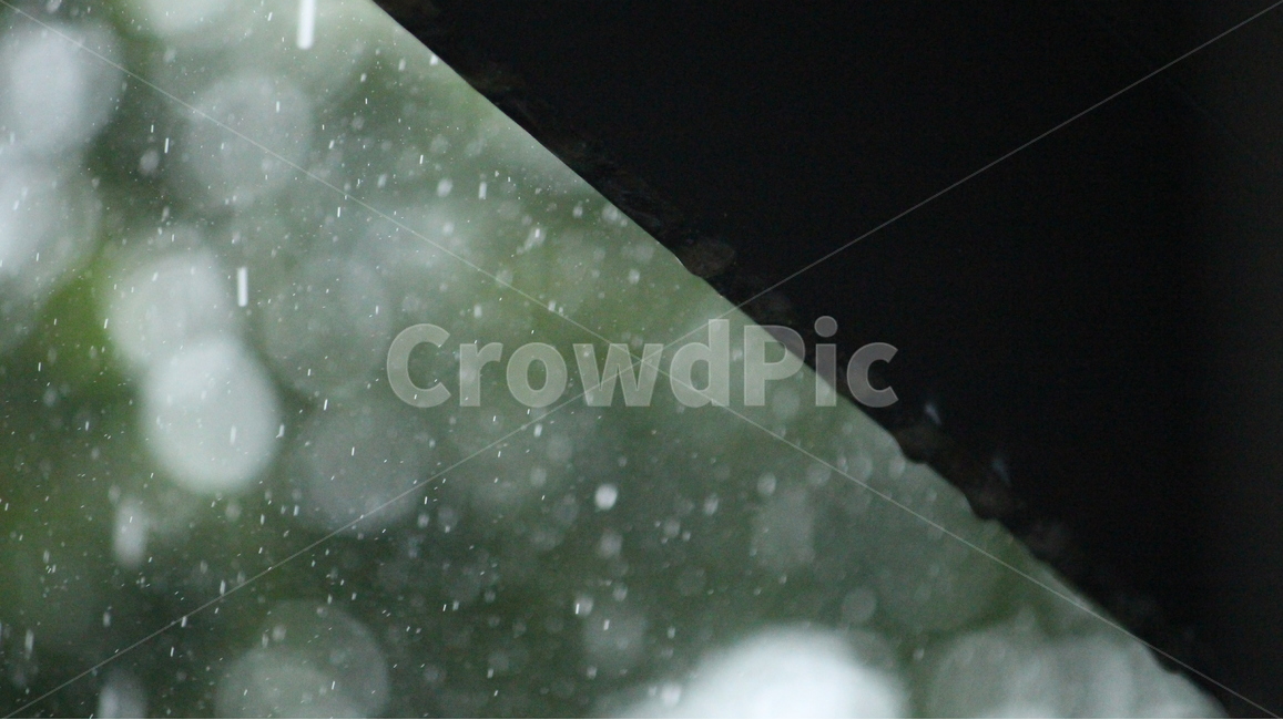 비,보케,빗방울,추움,빗물,지붕,푸르름,여름비,감성,sensible,feeling,비,비오는날,rain,rainy