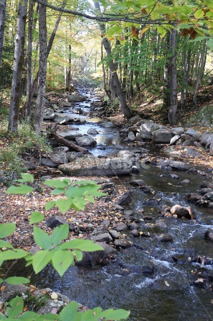 autumn,nature,creek,landscape,경치,자연,자연,풍경,nature,landscape,water,물,outdoors,옥외,stream,흐름,작은 만