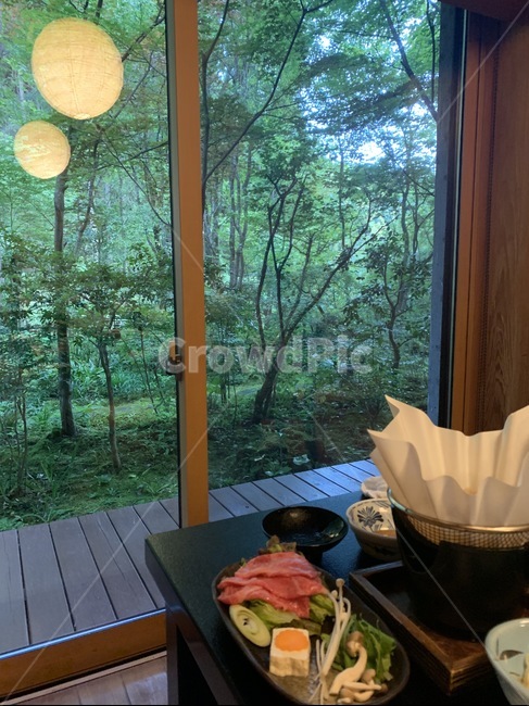 일본,정원,스시,일식,휴양