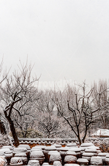 설경,장독대,겨울,고택,전통,문화유산,겨울,계절,winter,season,한국전통,한국문화,korean traditional,korean culture