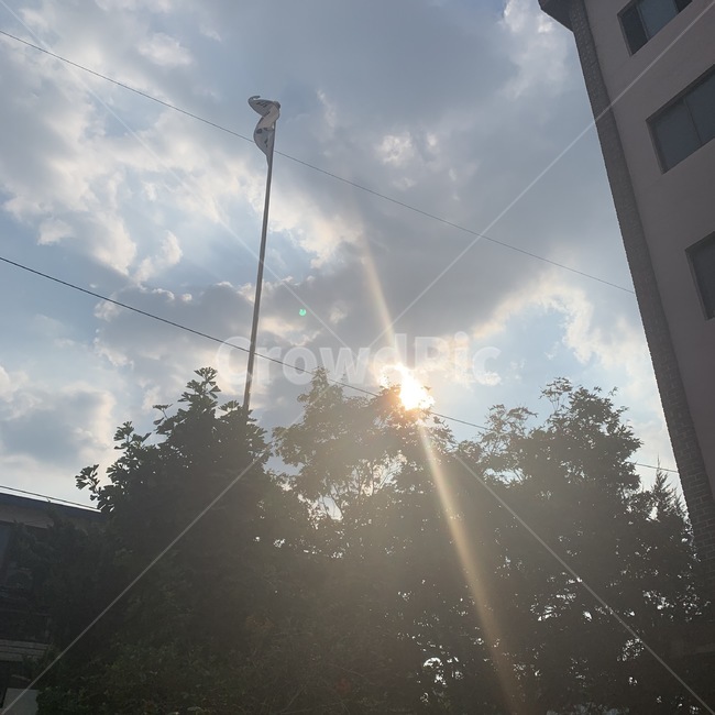 빛,light,전신주,감성,하늘,구름,sky,해,햇빛,utilitypole,나무,태극기