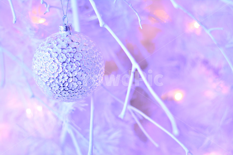 크리스마스,성탄절,장식물,트리,데코레이션,디스플레이,전시용,크리스마스볼,christmas,xmas,예수탄생일,공,볼,원형,조명,전구,빛,라이트반사,광택,분위기,배경,바탕,백그라운드,칼라풀,colorful,decoration,display,ball,light,보라색,핑크색,분홍색