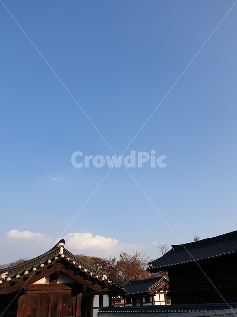 한국,전통,한옥,전주,한옥마을,전주한옥마을,지붕,하늘,배경,korea,tradition,traditional,jeonju,structure,background,한국전통,한국문화,korean traditional,korean culture,건축물,건물외관,exterior,building,structure,architecture,construction
