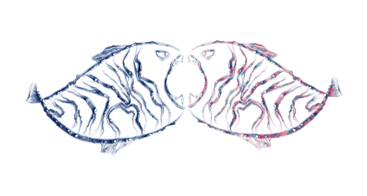 생선,물고기,fish,어류,수산물,fishes,피쉬,캐릭터,드로잉,drawing,좌우반전,미러현상,반전,어류,물고기,fish