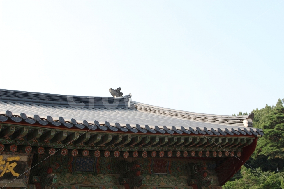 절,지붕,하늘,봉은사,기와,전통,한옥,한국,korea,korean,traditional,건축물,건물외관,exterior,building,structure,architecture,construction,한국전통,한국문화,korean traditional,korean culture