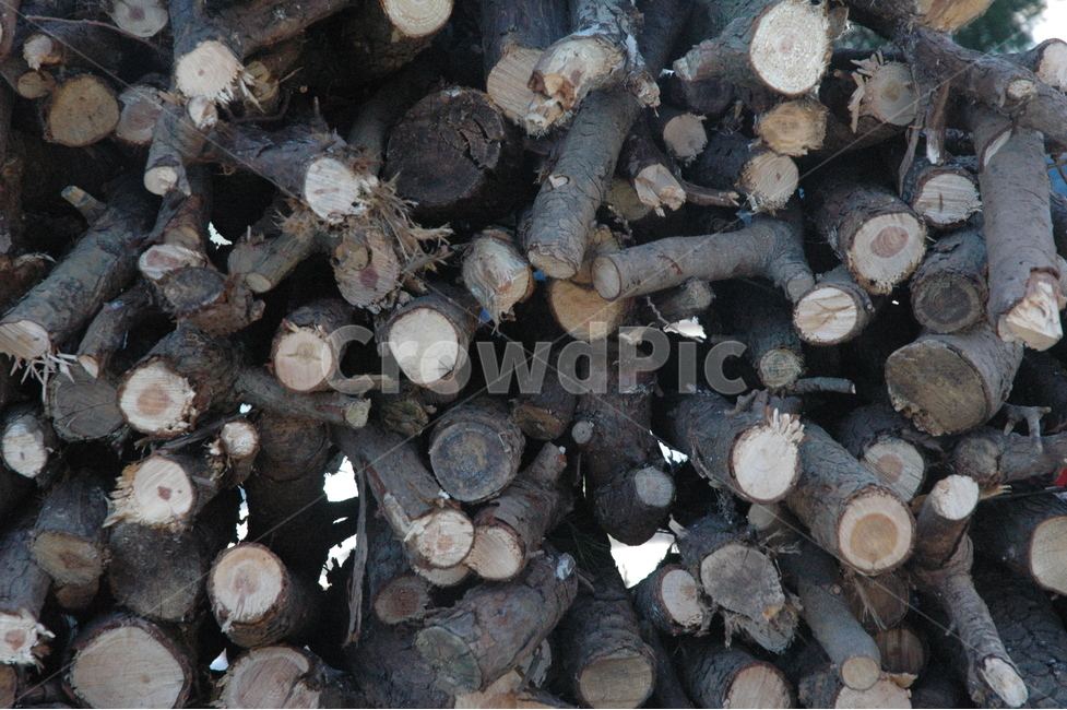 자연,나무,무늬,겨울준비,장작,나무,trees,wood