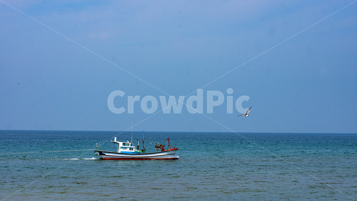 선박,보트,boat,갈매기,바다,수평선,어업,fishery,fishing industry