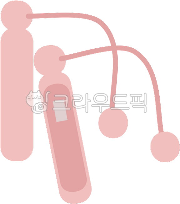 필라테스,홈트,운동,운동기구,요가