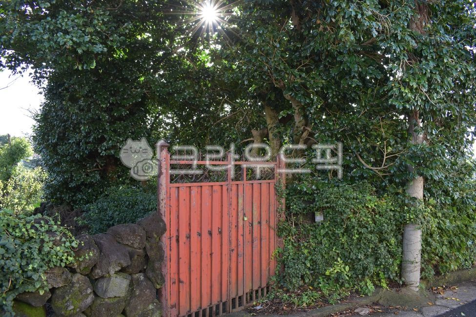 iron gate,locked door,red gate,complementary color,closed door,red door