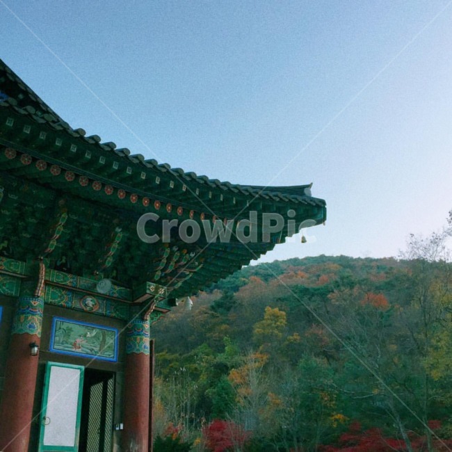 한국,건축물,절,기와,temple