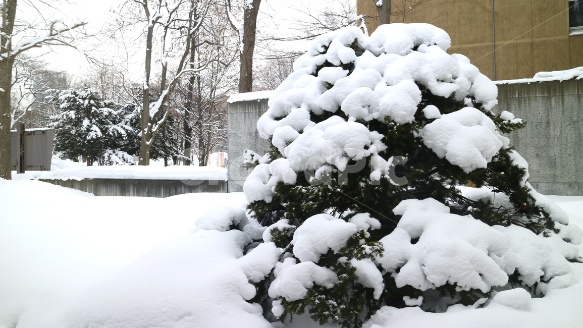 겨울,눈,겨울풍경,winter,snow