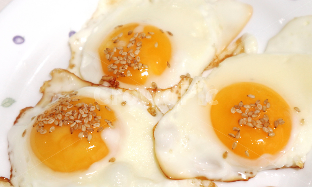 계란후라이,계란,달걀,달걀후라이,깨,후라이,egg,반숙