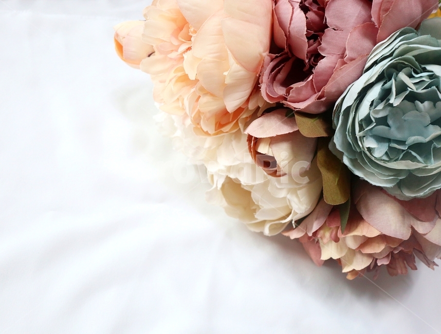 꽃다발,plant,식물,flower,꽃,blossom,bouquet