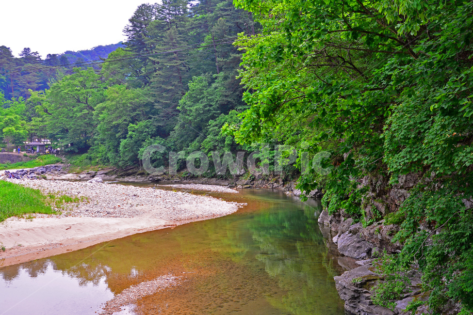 힐링,숲길,자연,계곡,풍경,신록,초록,나무,숲,길,산촌,시즌,계절,그린,forest,season,healing,6월,싱그러운,청정,공기,산소길,air,nature,plant,물,시원한,숲그늘,맑은,무공해,청정지대,오염없는,담,소,단풍나무,돌,바위,암석,자연,풍경,nature,landscape,한국자연풍경,한국자연경관,korea nature landscape,outdoors,옥외,land,땅,water,shoreline,해안선