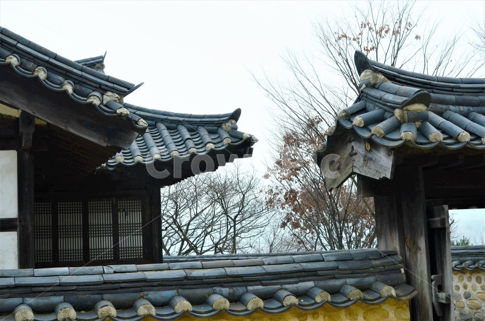 전통가옥,양반가옥,한옥,기와집,목조기와집,한국문화,한국건축문화,한국전통,전통문화,한국전통,한국문화,korean traditional,korean culture,건축물,건물외관,exterior,building,structure,architecture,construction