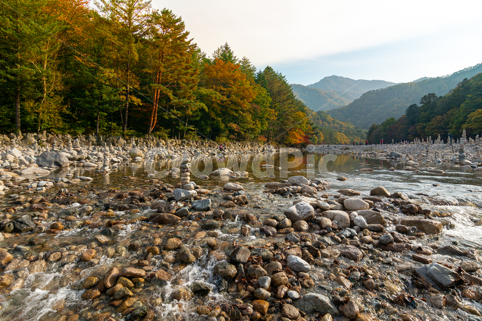 백담계곡,백담사,설악산,강원도,가을,반영,자갈,돌탑,국립공원,계류,강,냇가,tree,plant,한국자연풍경,한국자연경관,korea nature landscape