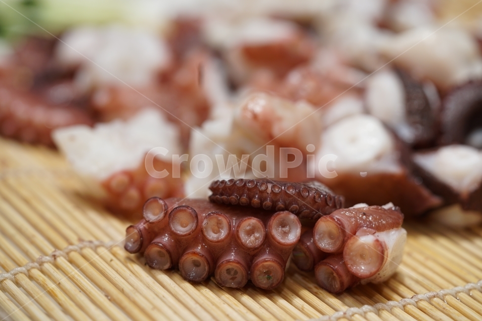 안주,먹방,문어,해산물,문어숙회,술안주,회,먹거리,음식,푸드,씨푸드,시푸드,술자리,식감,소주안주,안주거리,안줏거리,빨판,음식,식재료,요리,food,cook,meal,dishes,food reserves,수산물,해산물,fishery products,seafood