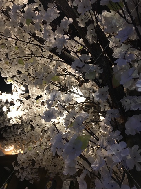나무,감성,인테리어,장식,소품