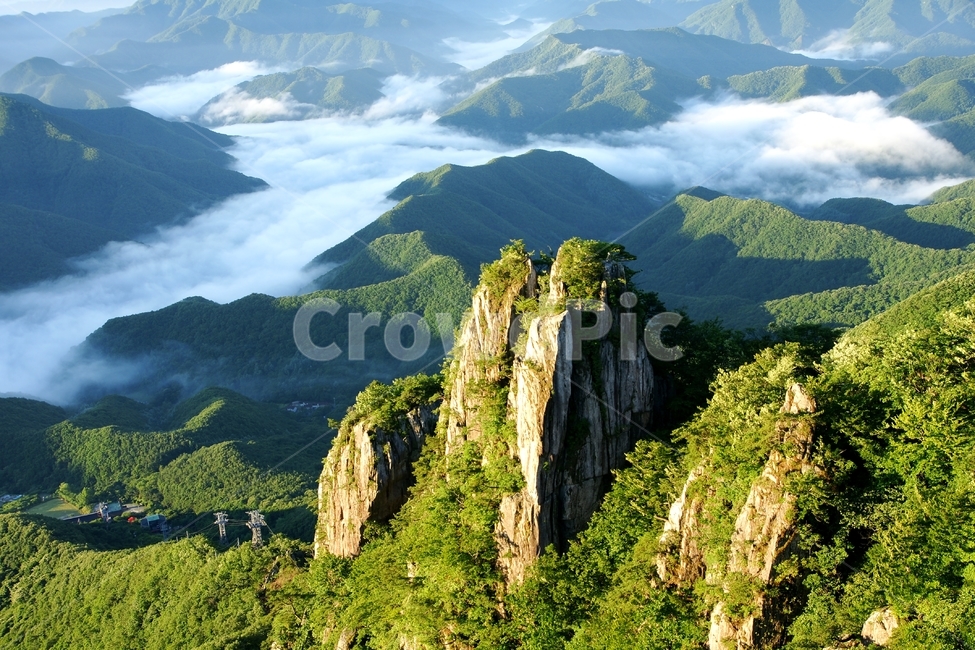 대둔산,운해,신록,구름,안개,소나무,완주군,자연,풍경,nature,landscape,한국자연풍경,한국자연경관,korea nature landscape,outdoors,옥외,mountain range,산맥,mountain,산,scenery
