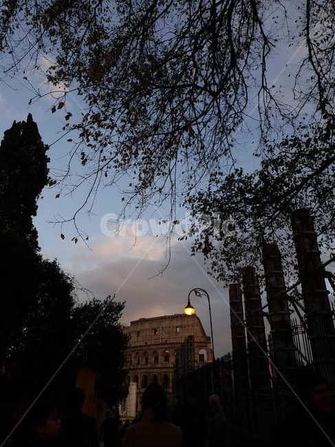 로마,콜로세움,저녁,해질녘,실루엣,가로등,rome,roma,나무,구름,도시,유적