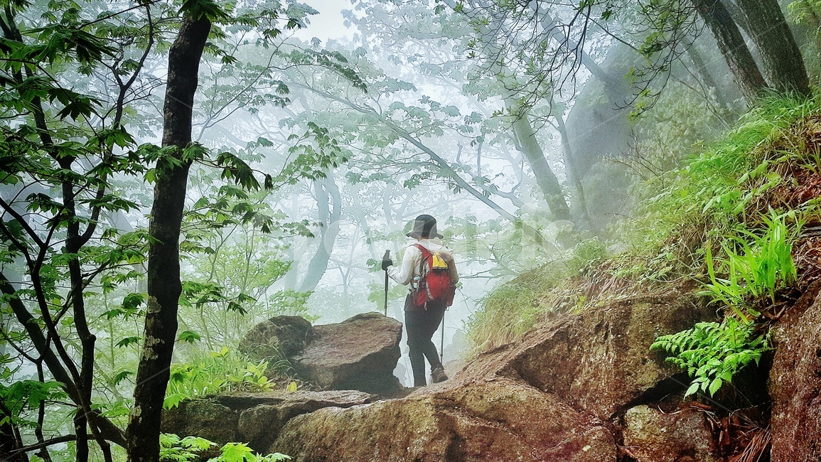 산행,운무,안개,등산,나무,봄,건강,힐링,자연,등산객,감성,sports,health,care,새벽,구름,nature,landscape,운해,초록,초여름,healing,plants,mountain,human,사람,인간