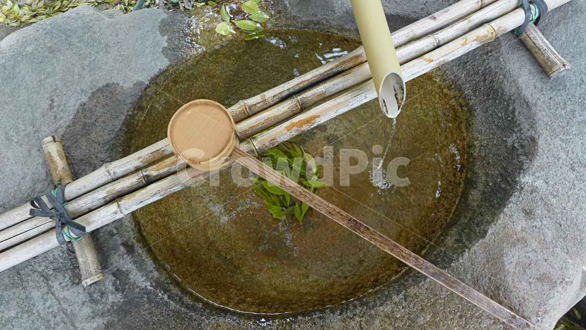 등산로,등산,약수터,산,물,대나무,자연