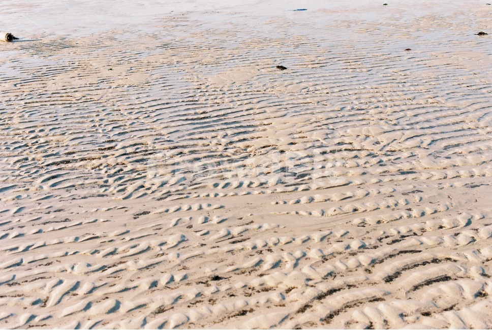해변,모래사장,바닷가,바다,제주도,감성,해변,바다,beach,sea,감성,sensible,feeling