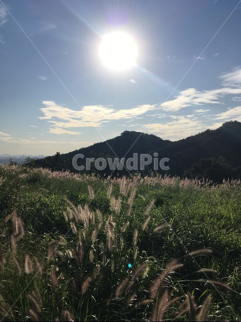 아차산,해,하늘,풍경,자연,잡초,구름,햇살,경치,버들강아지,버들풀,가을하늘