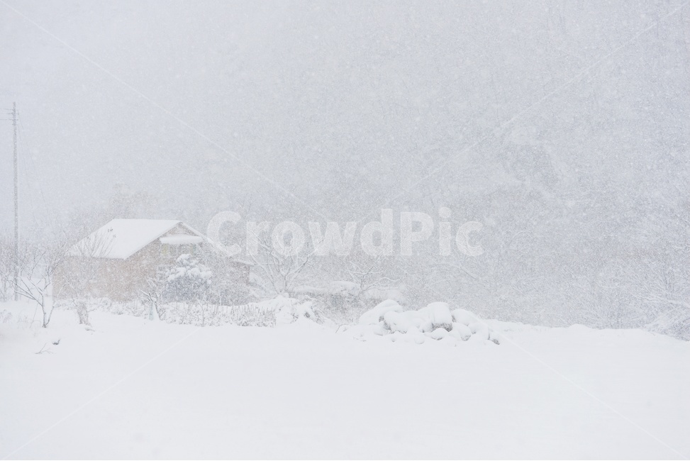 장성,입암산성,남창게곡,설경,남창계곡설경,storm,폭풍,tree,나무,plant,식물,ice,빙,snow,눈,winter,겨울,nature,자연,outdoors,옥외,blizzard,눈보라,외딴집,겨울,계절,winter,season,자연,풍경,nature,landscape