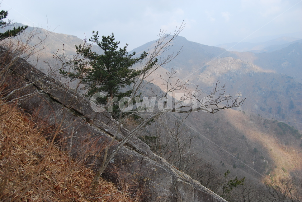 신불산,홍류폭포,간월재,등산로,능선,치유,여행,돌,산행,힐링,자연,동행,등산,계절,한국,한국명산,한국등산,풍경,나무,하늘,바람,땅,자연,풍경,nature,landscape,한국자연풍경,한국자연경관,korea nature landscape,plant,식물,tree,outdoors,옥외