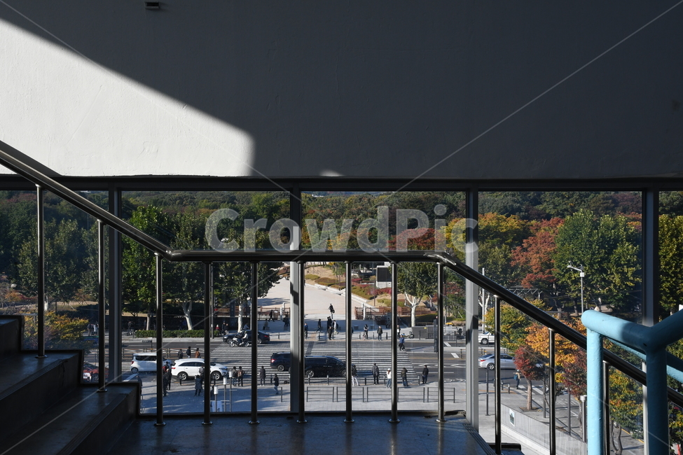 난간,handrail,창문,종묘,나무,도로,세운상가