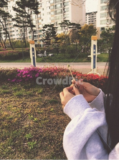 민들레,민들레씨앗,봄,봄꽃,흩날리기,사람,인물,인간,human,person,신체일부,몸,body