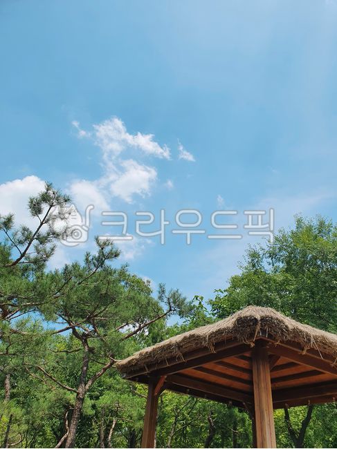 sky,heat,forest,Namsan,shelter,porch,hut,clear,clouds,Hanok village,trees,summer,patio,sunlight,courtyard,grass,land,season,entrance,landscape