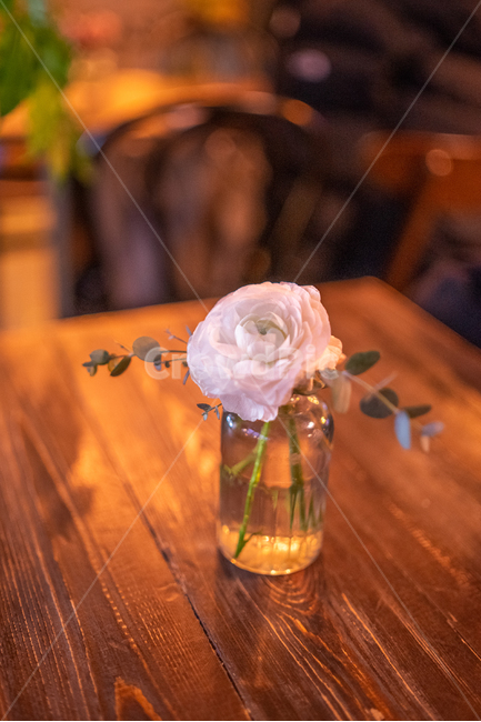 카페,감성,실내,장미,꽃병,식물,테이블,따뜻한,월계수,꽃,flower,실내용화초,화분,화초,house plant