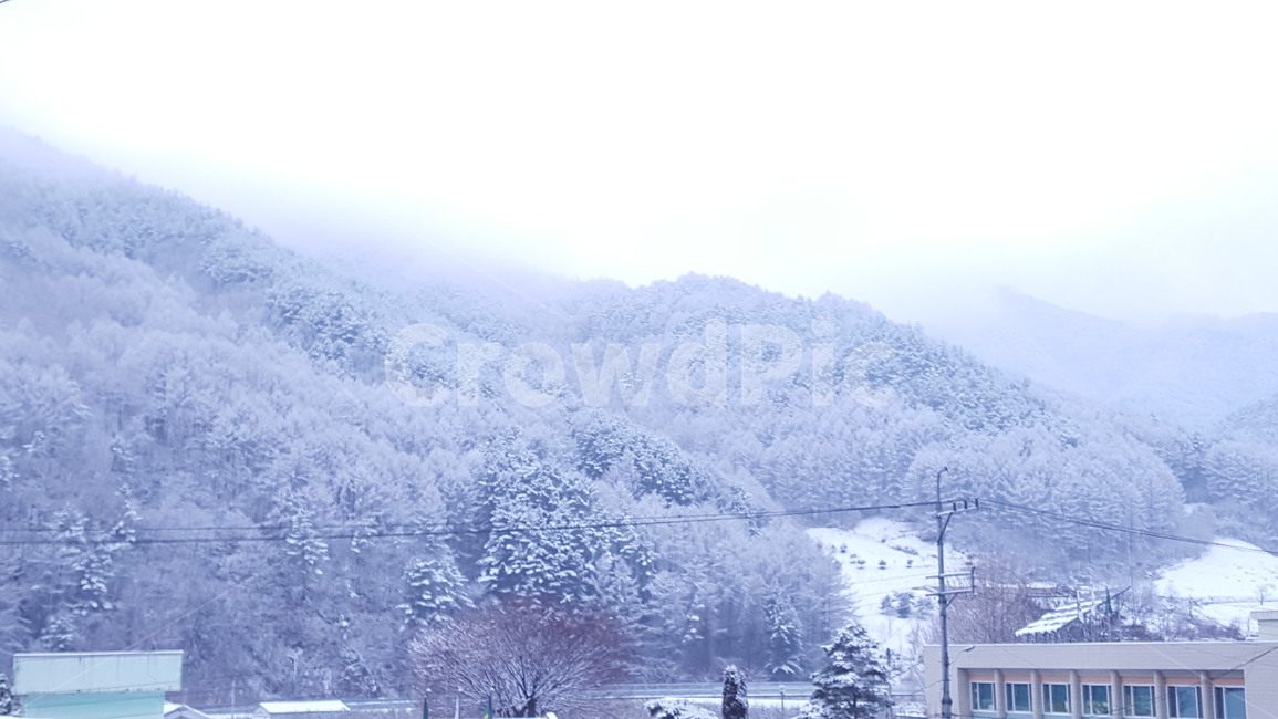 눈,설경,자연,시골,겨울,winter,snow