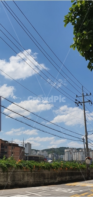 하늘,구름,전봇대,전깃줄,맑음,화창함,sky,cloud
